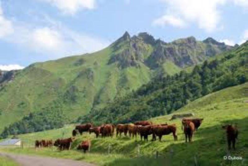 Lilas, Gite Saint Antoine, Orcival, Entre Sancy Et Volcans. Exterior photo